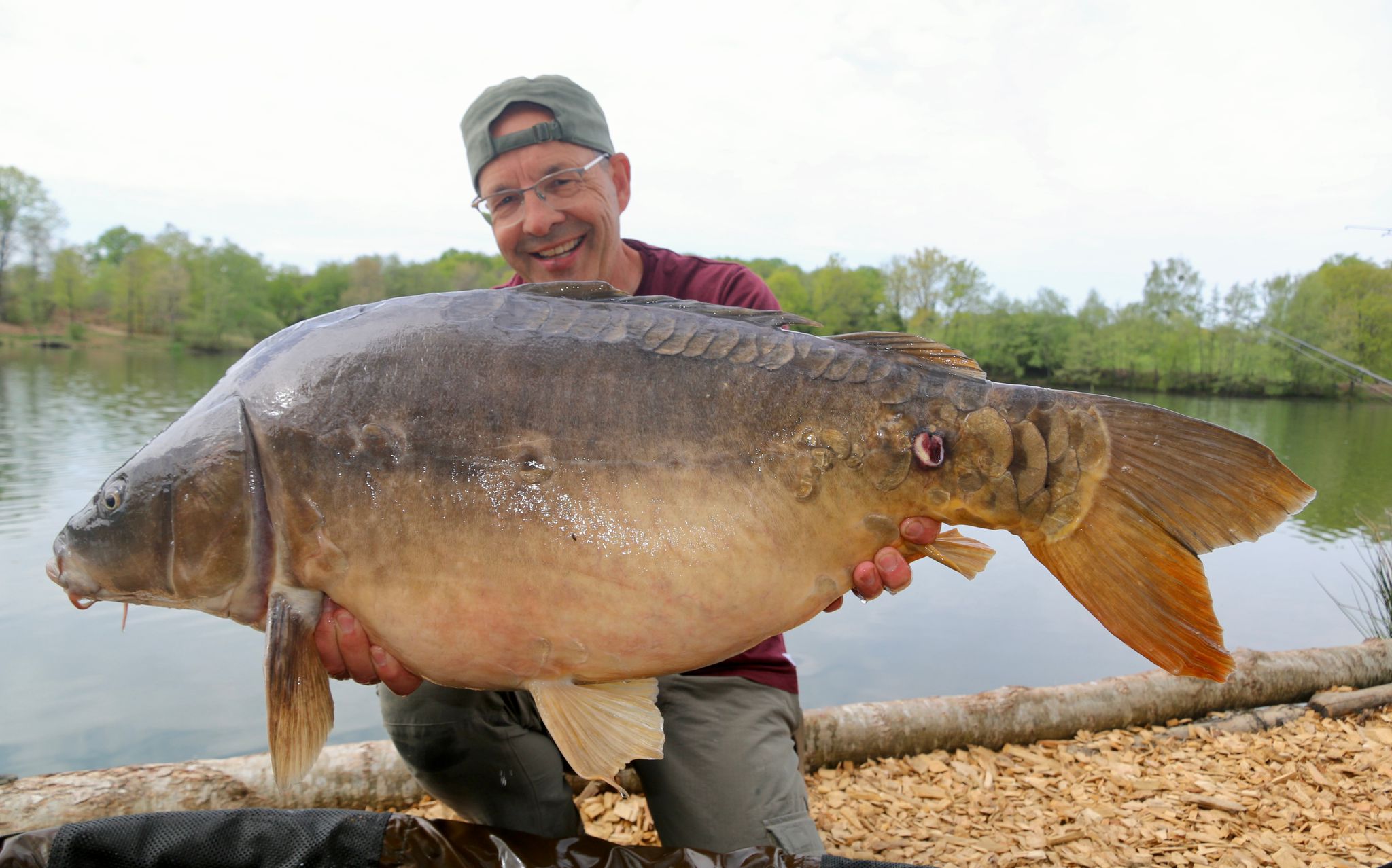 carp at Villedieu Lake France